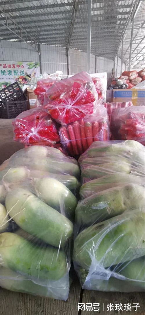 一份厚禮 南充嘉陵頭洞橋農(nóng)產(chǎn)品批發(fā)中心國(guó)慶試營(yíng)業(yè)，開啟海味干貨批發(fā)新篇章